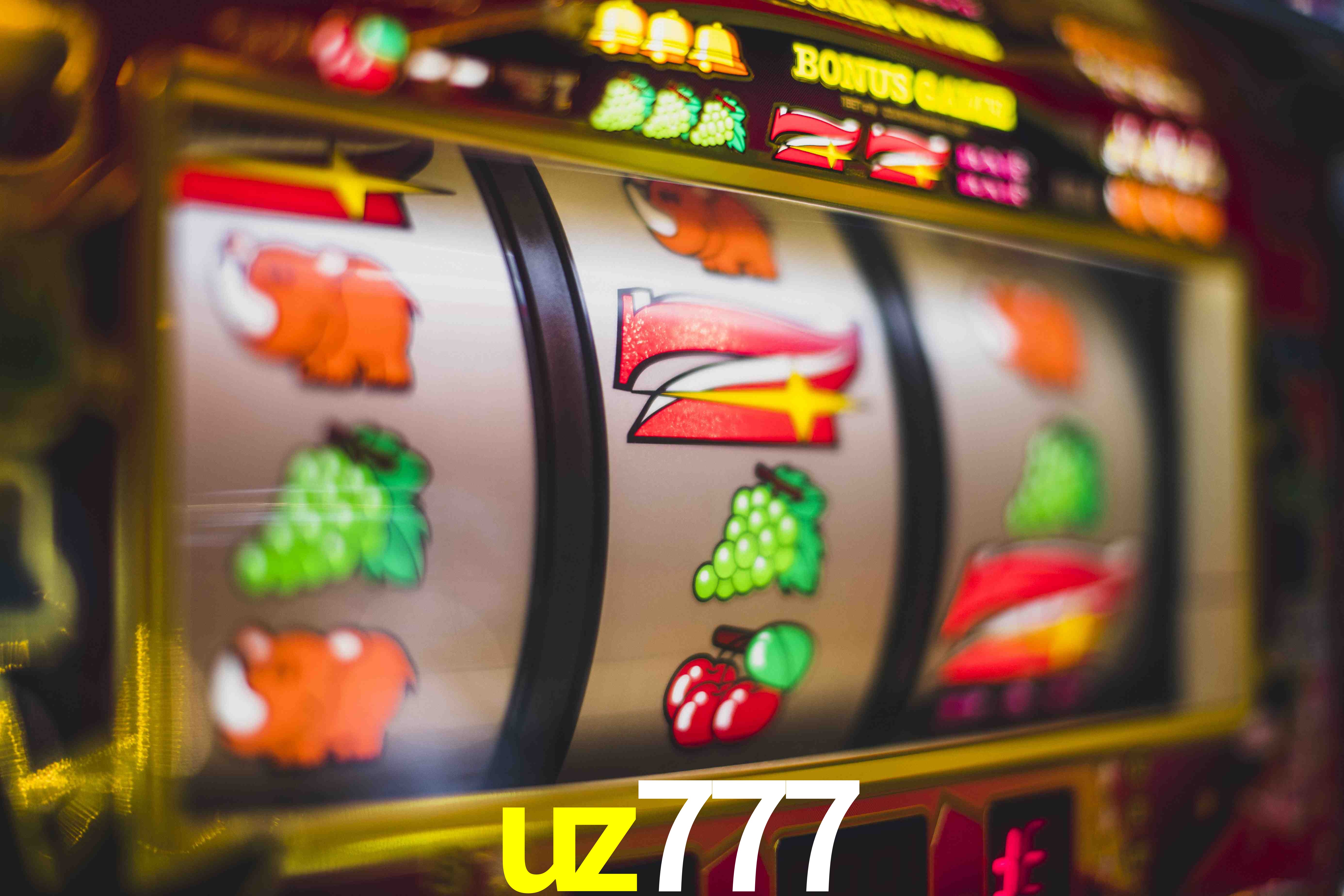 Statistics uz777